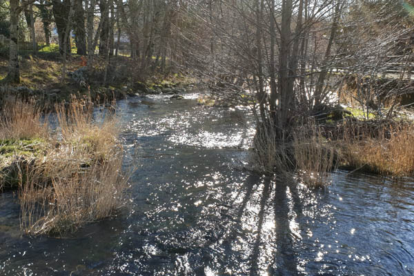 La Raivière Agout qui traverse le village de la Salvetat-sur-Agout etforme le lac de la Raviège
