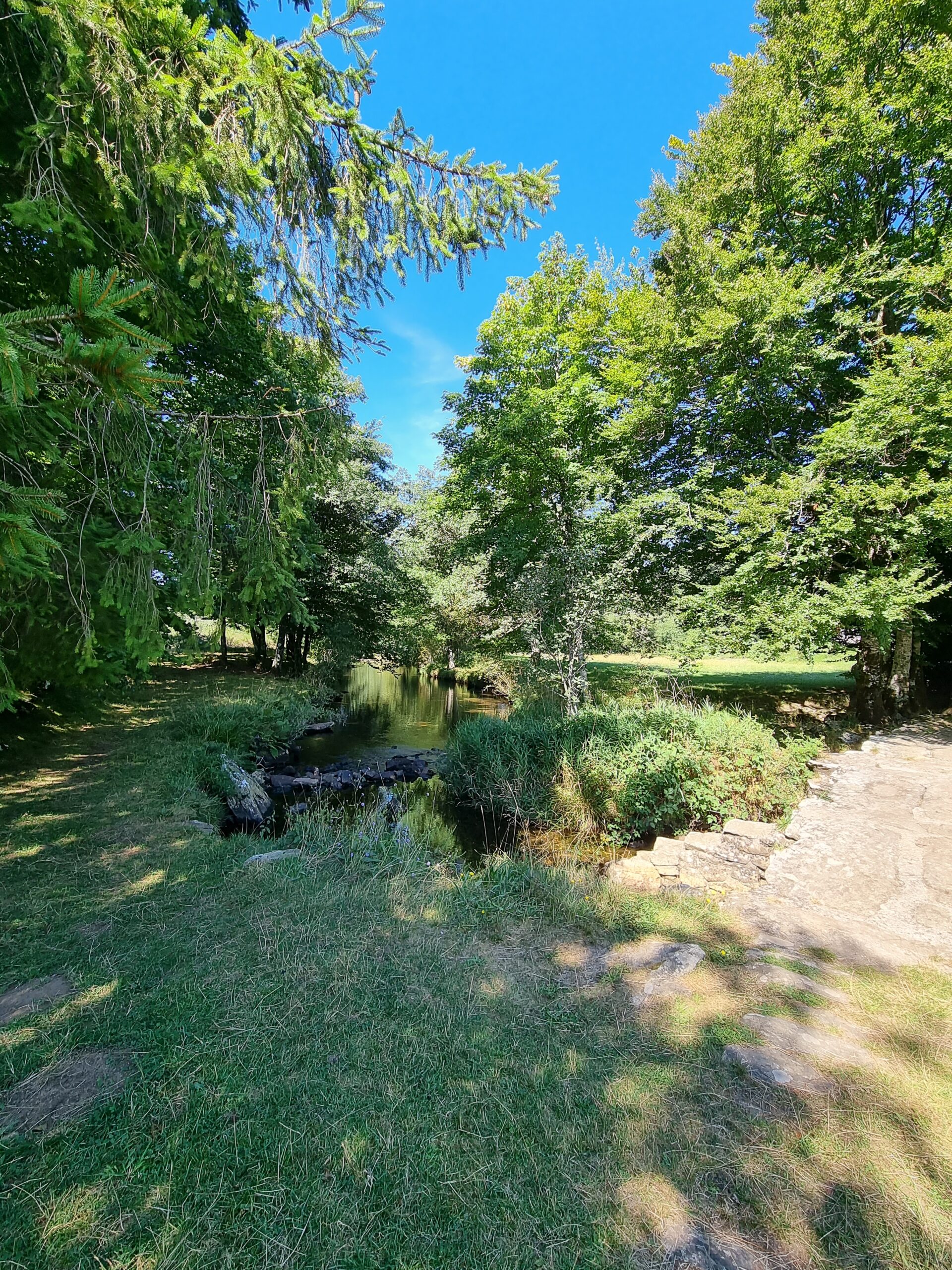 Les planques photo 5
