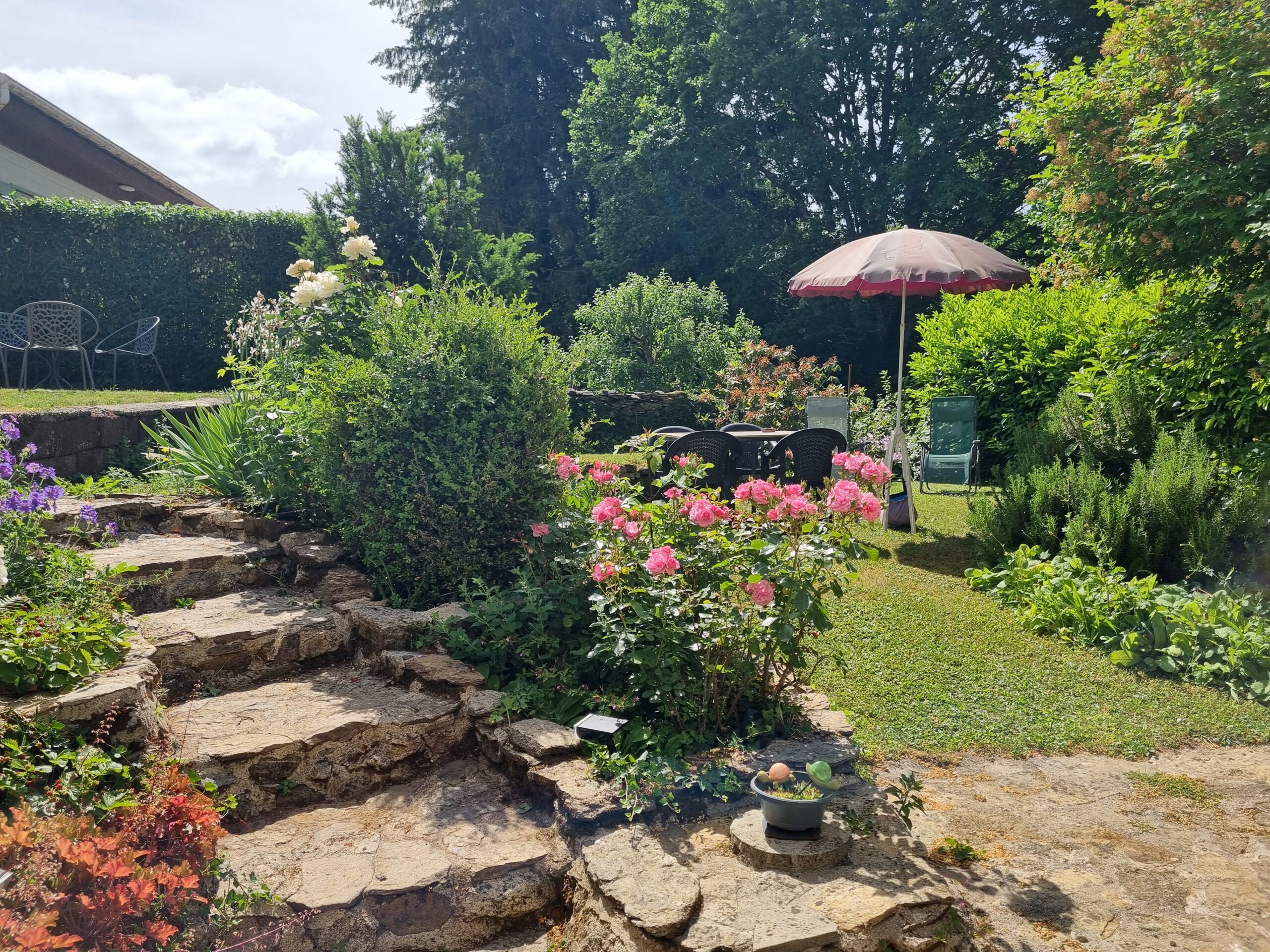 Le jardin