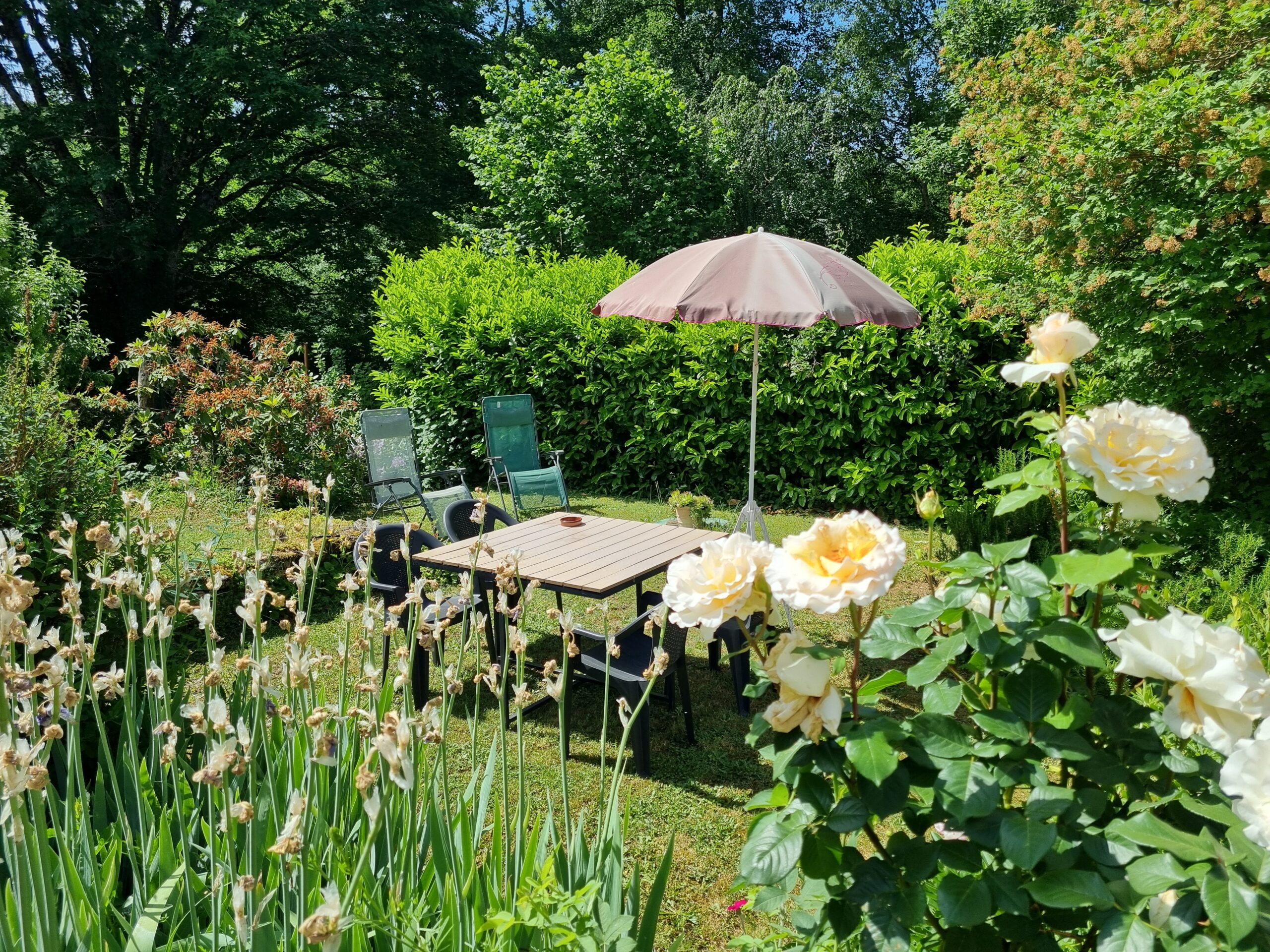 Le jardin photo 2