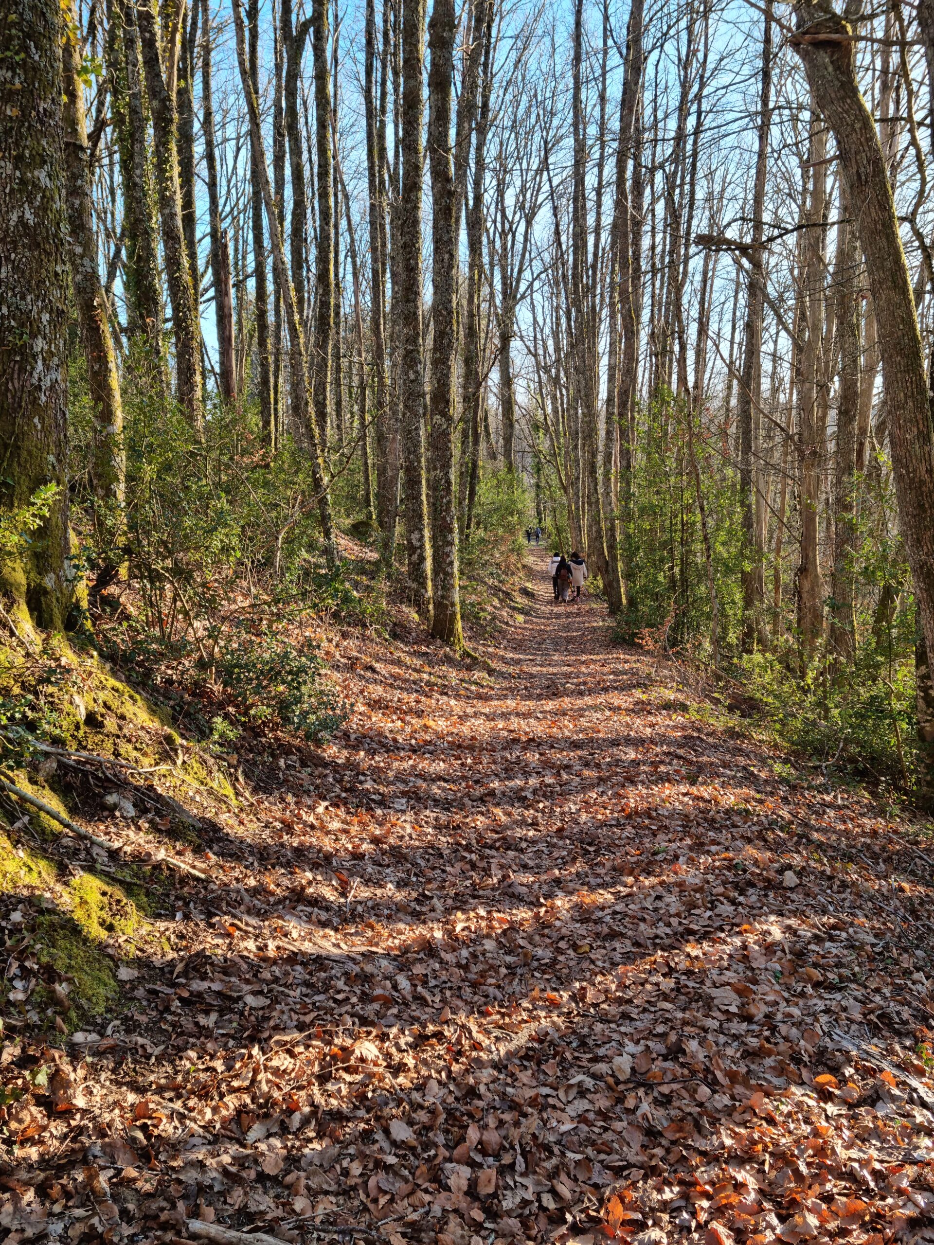La Lauze photo 18