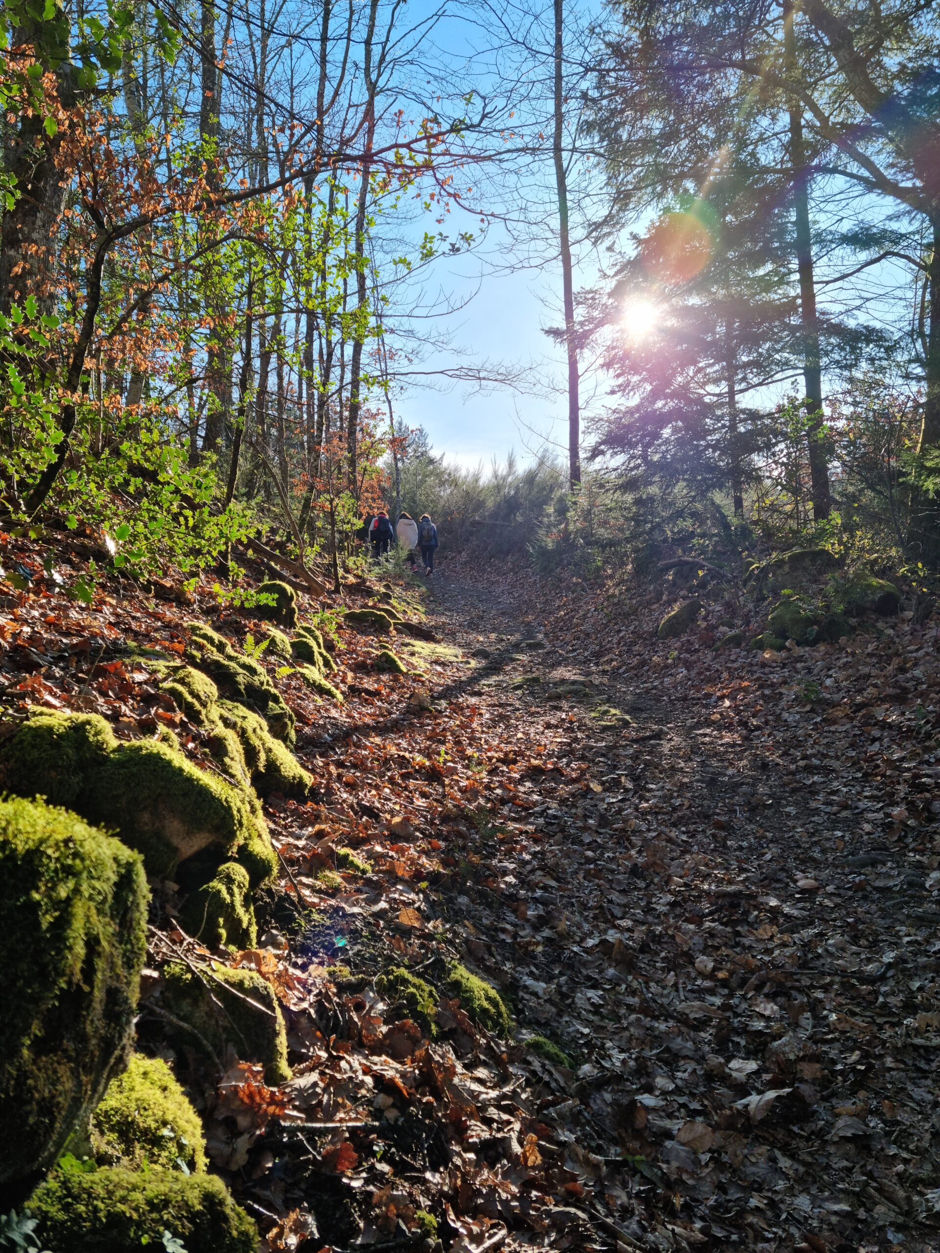La Lauze photo 17