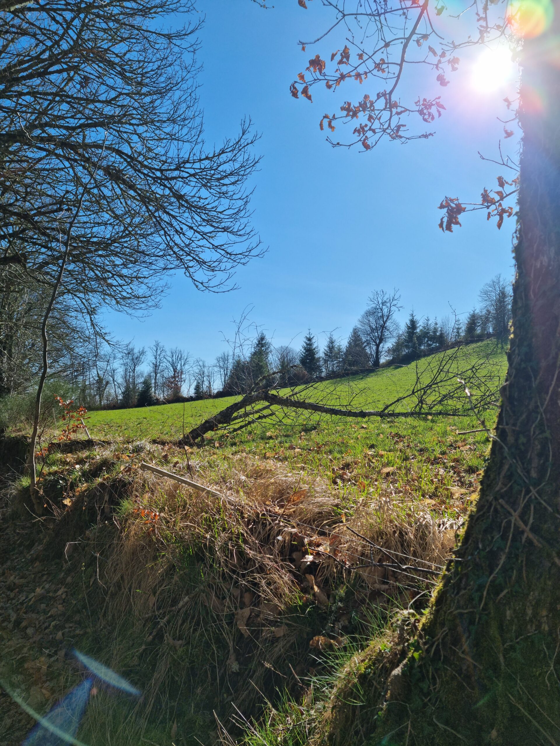 La Lauze photo 10