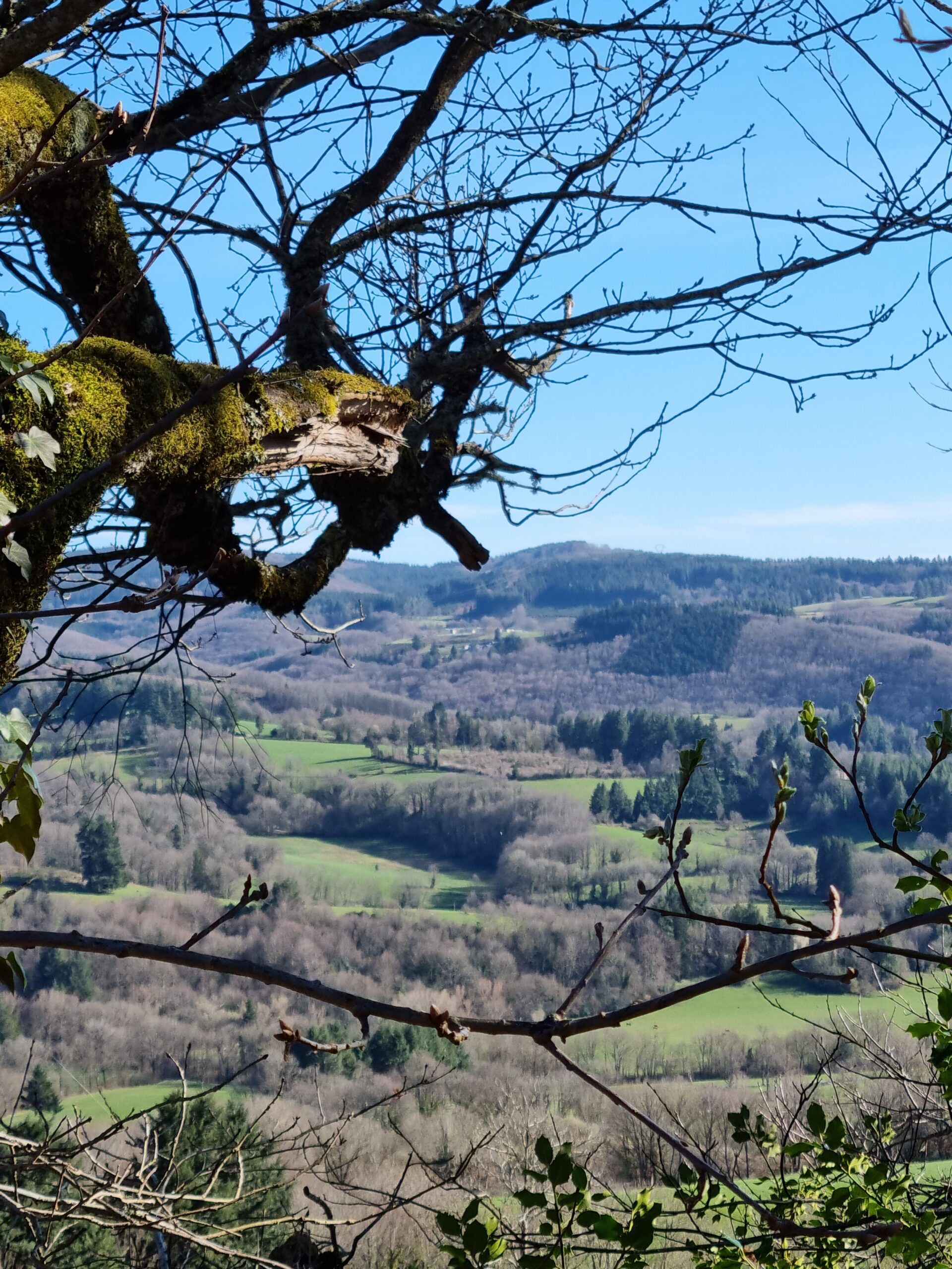 La Lauze photo 9