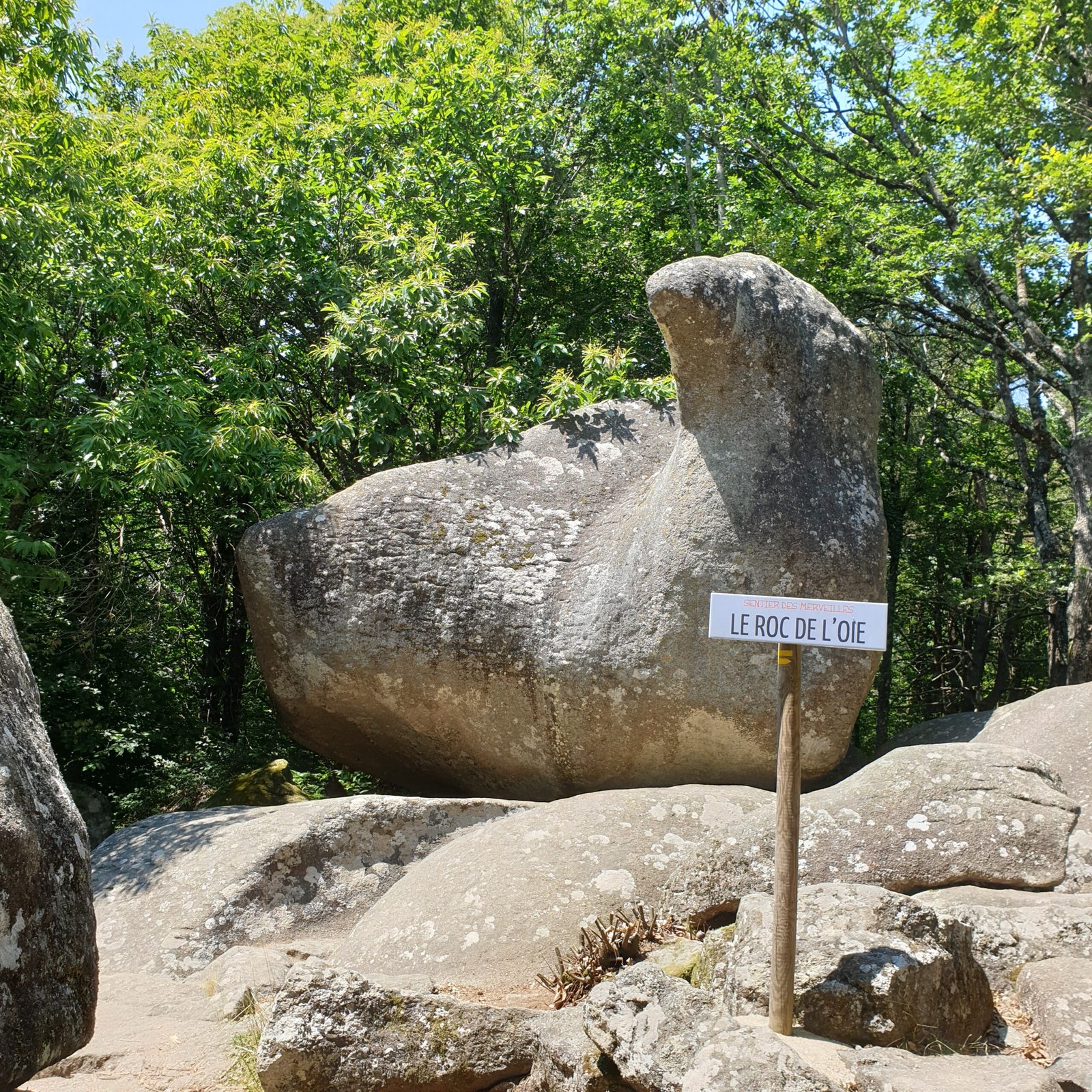 Le Roc de L'Oie